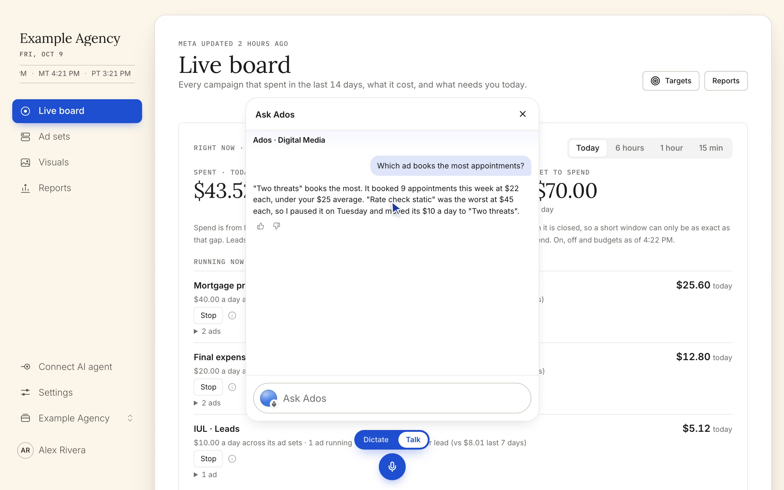 The Run My Ads app on example data